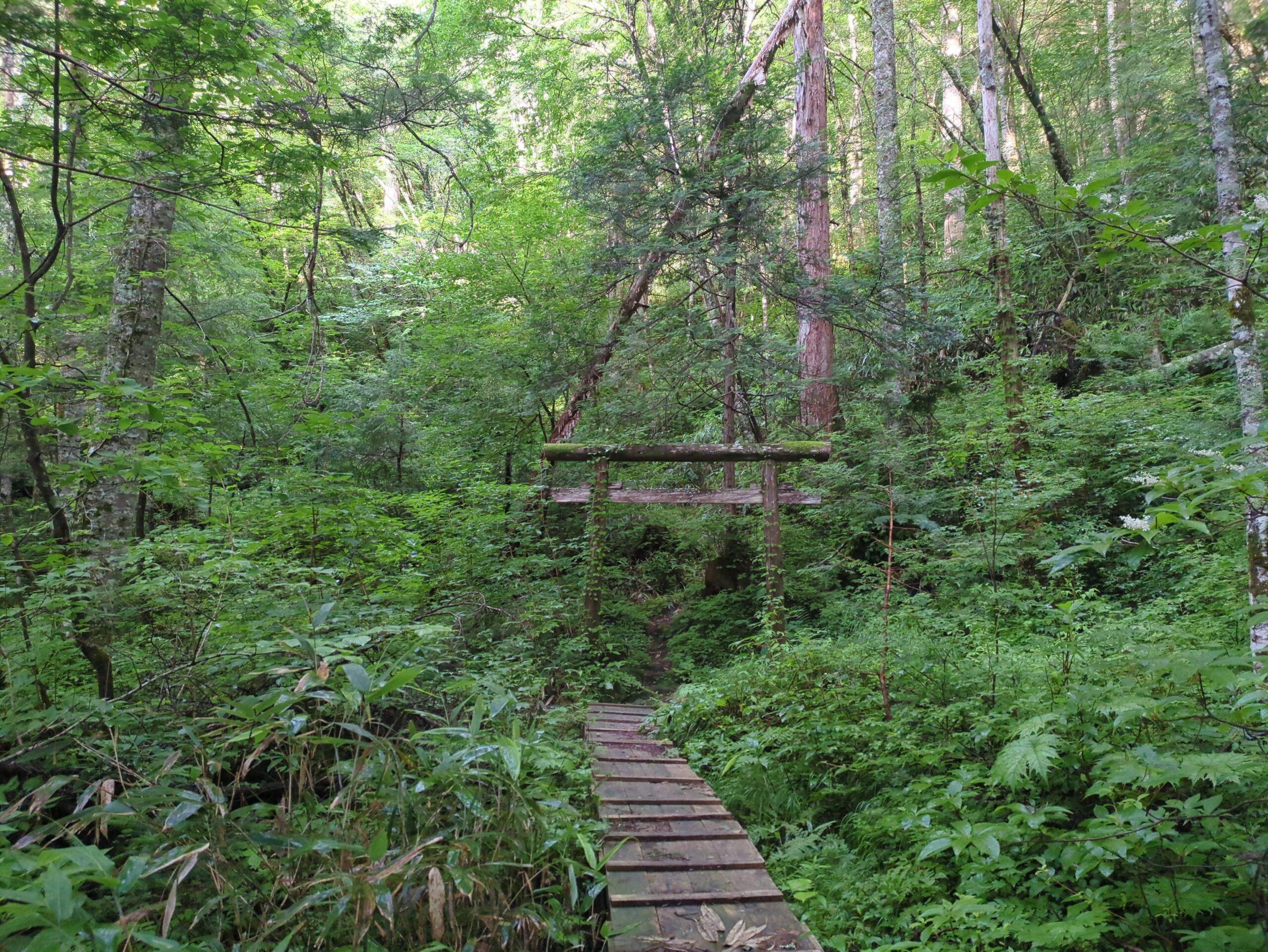 五の池小屋（開田口往復）