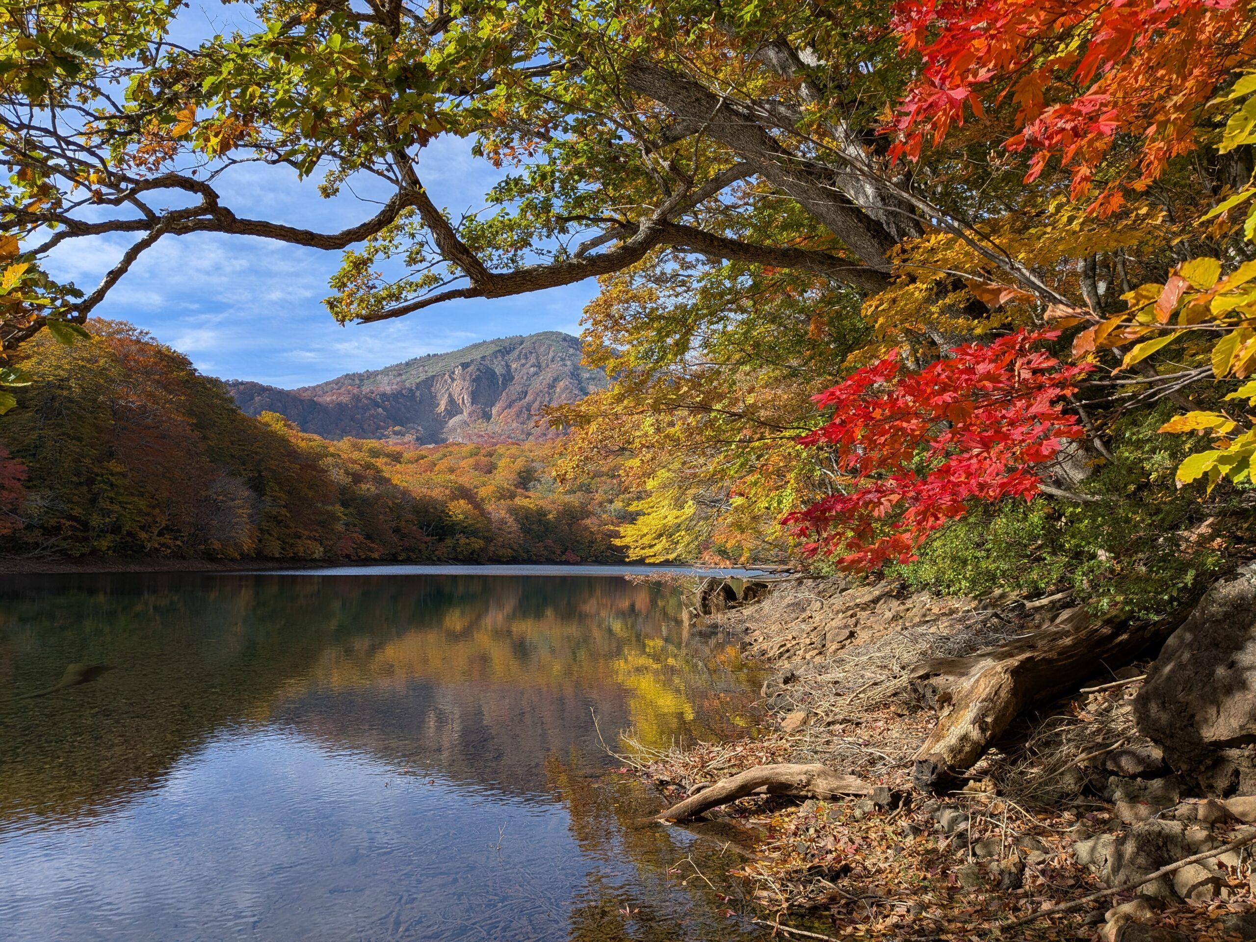 紅葉とモルゲンロート「赤沼」10/25