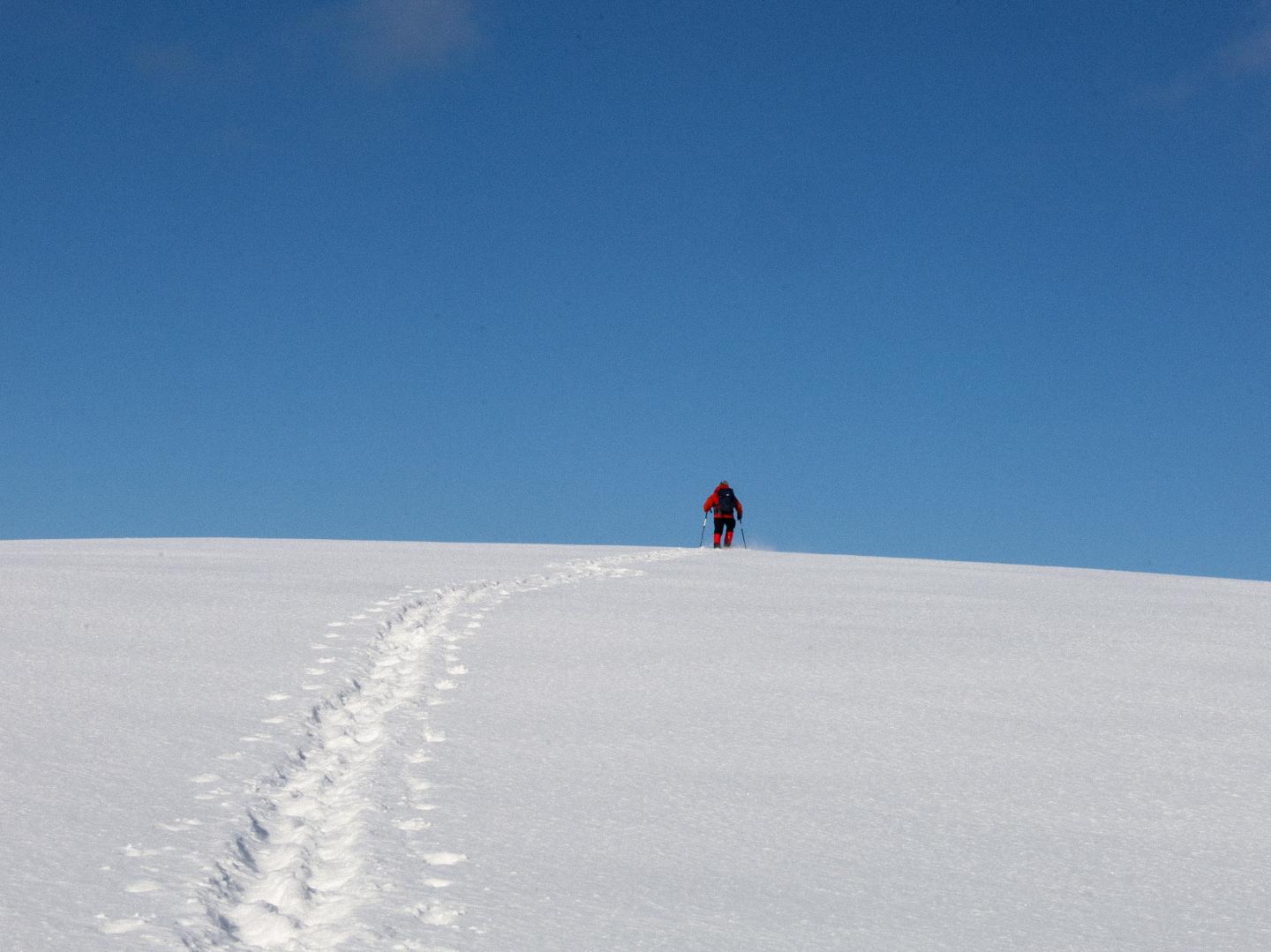 鼻黒岳～多々良山（岩手県平庭高原）