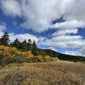 山歩き開始です🗻🚶