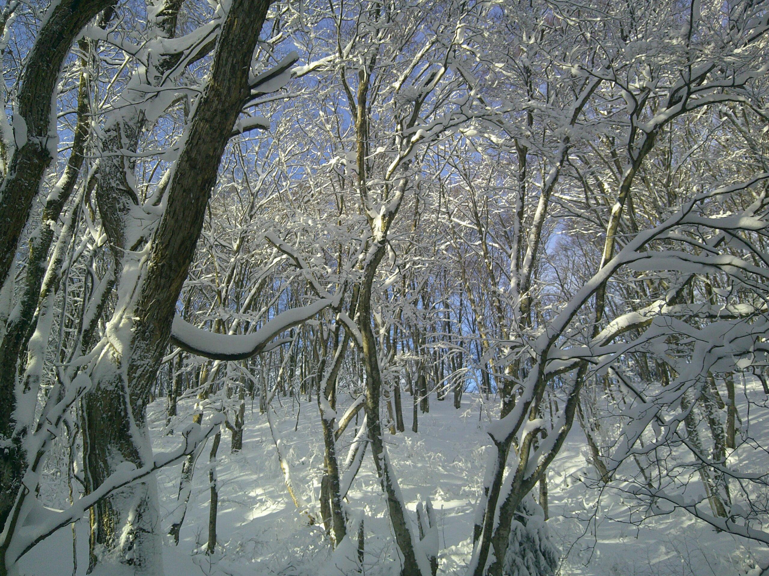 コンパスワーク03