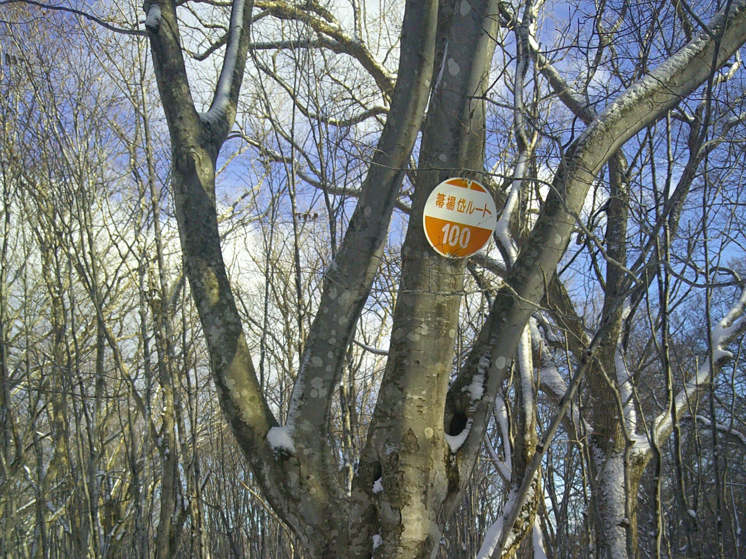 コンパスワーク