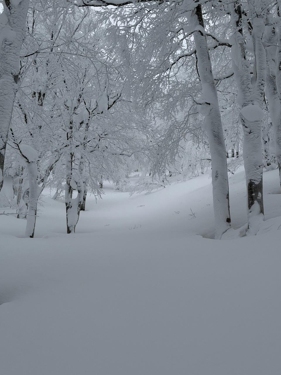 横岳方面ツリーラン三昧（1名ワカン修行あり）