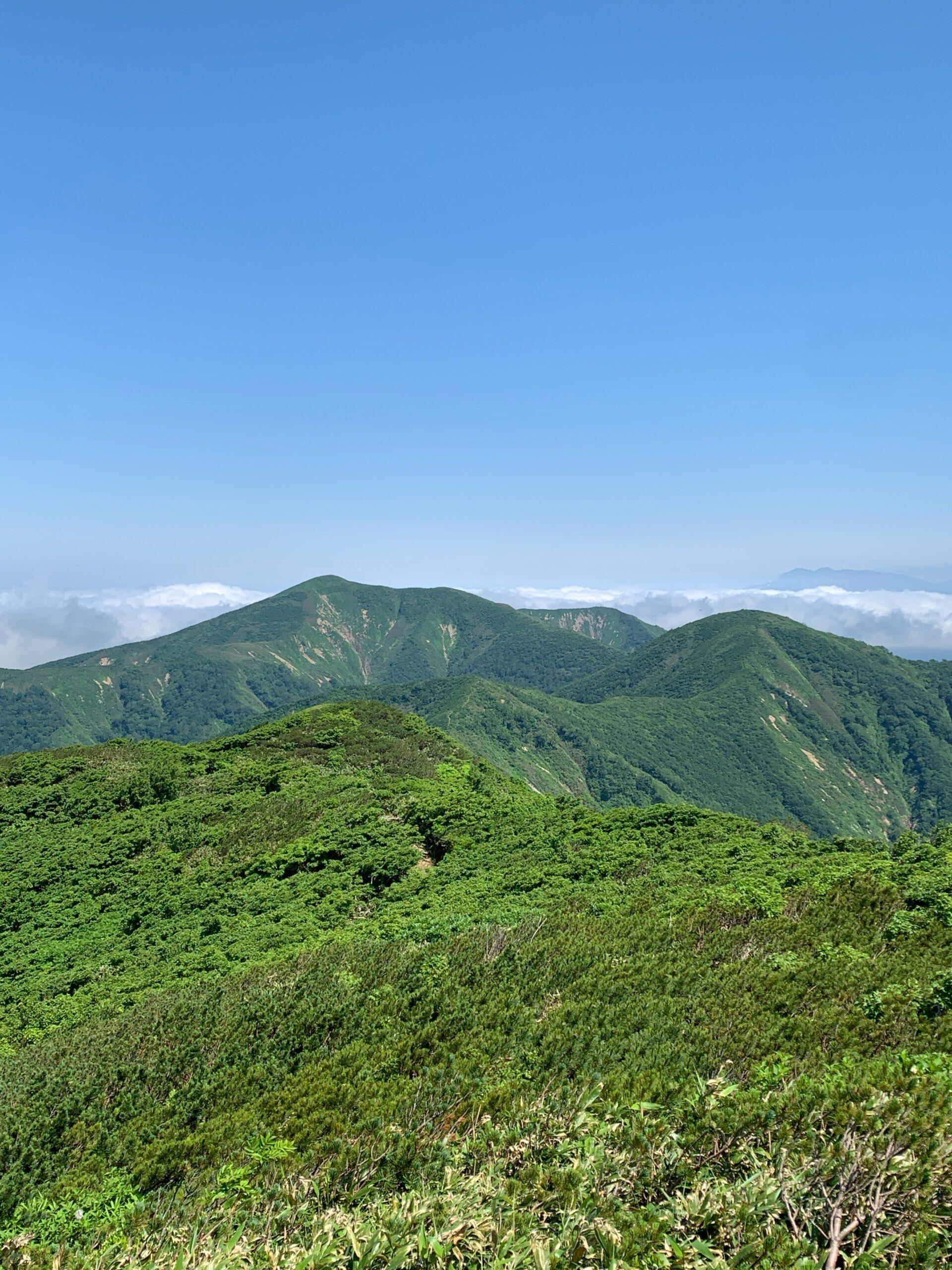 6月29日 高畑登山口〜高下岳〜貝沢登山口