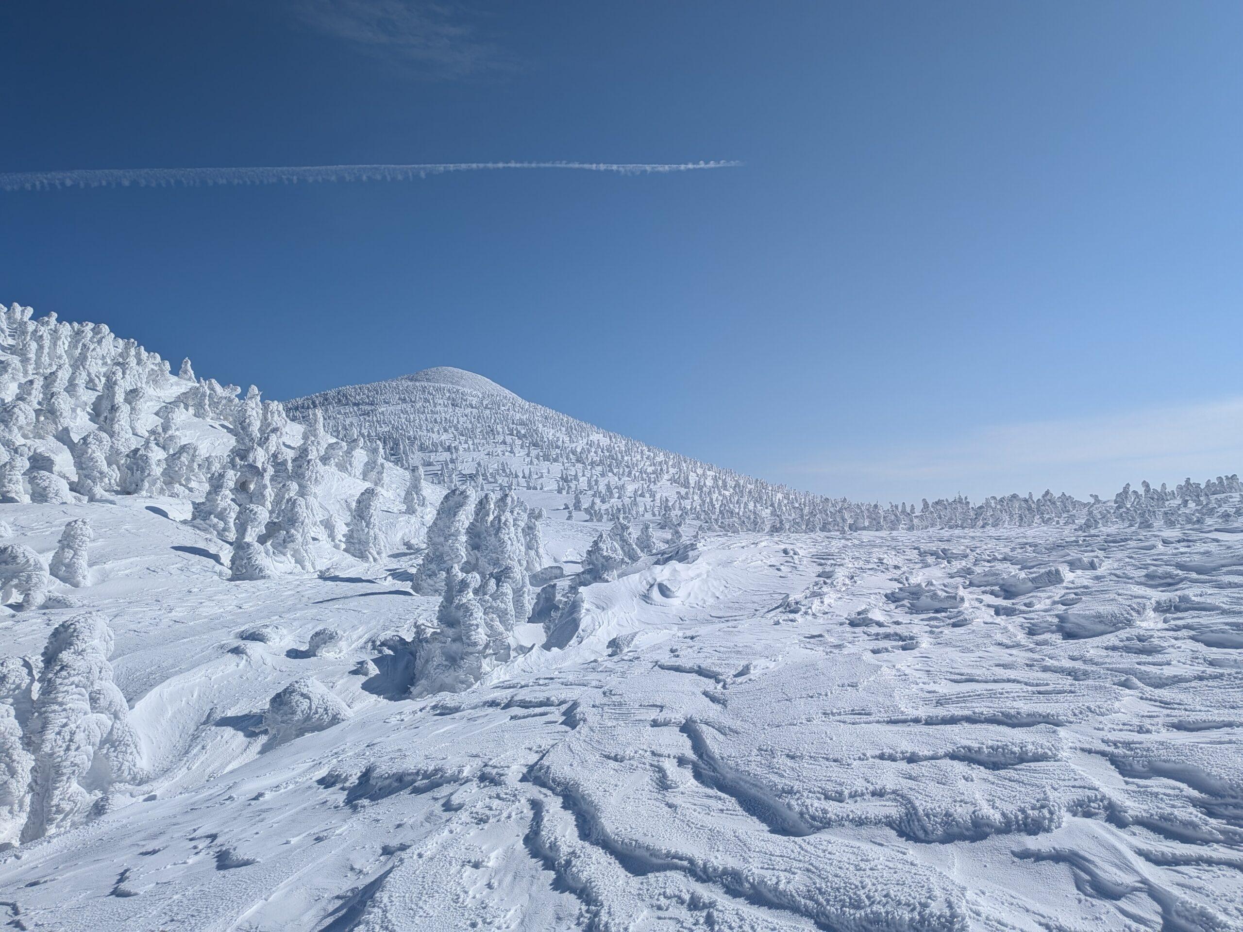 今季初の八甲田（大岳）  2/5(木)