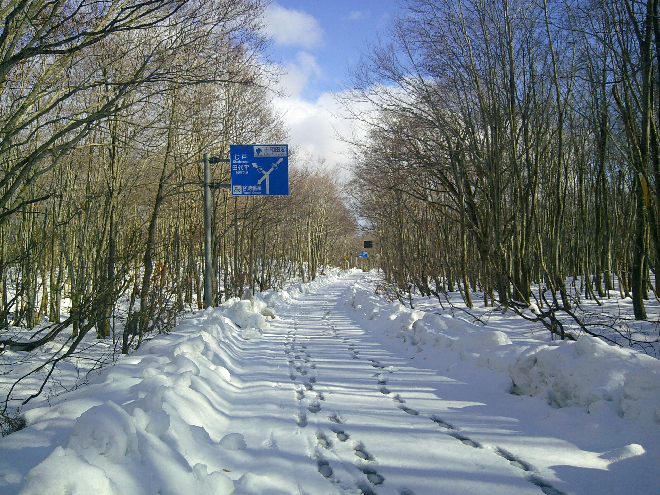 ツボ足で谷地から睡蓮沼